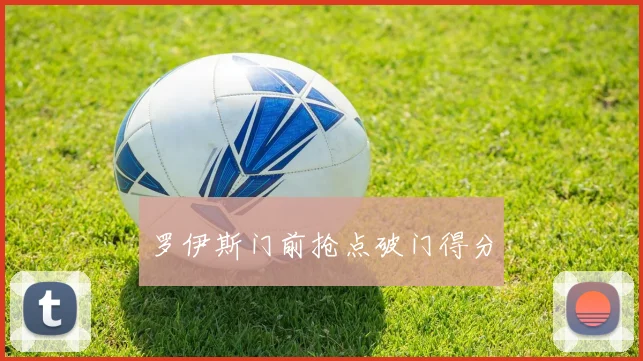 罗伊斯门前抢点破门得分