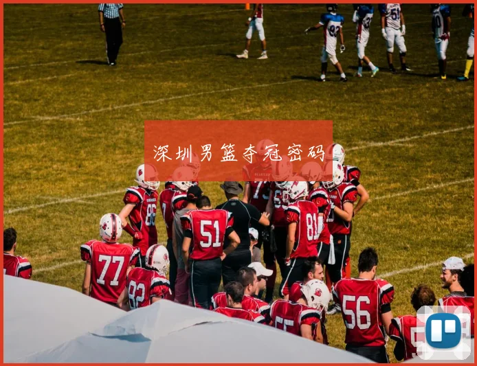 深圳男篮夺冠密码