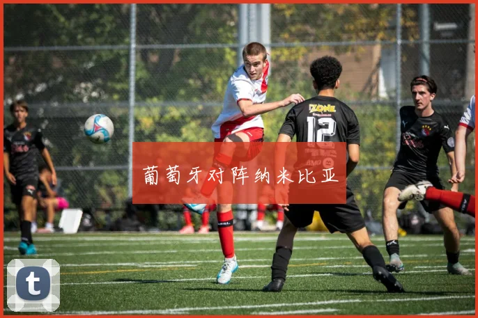葡萄牙对阵纳米比亚