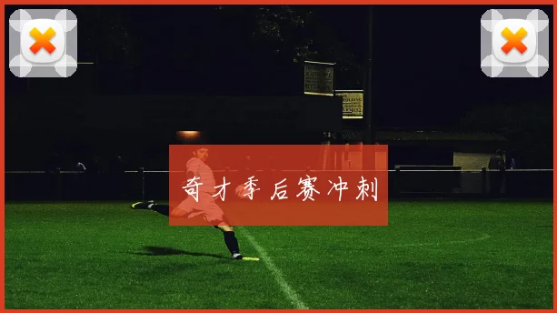 奇才季后赛冲刺