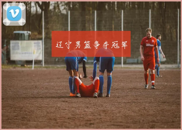 辽宁男篮争夺冠军