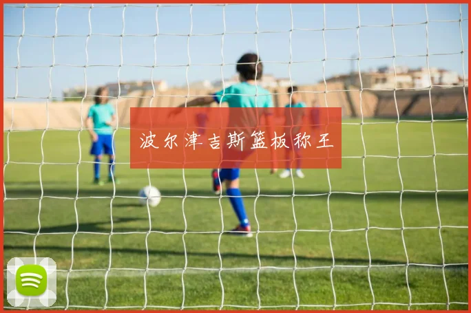 波尔津吉斯篮板称王