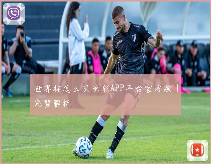 世界杯怎么买竞彩APP平台官方版｜完整解析