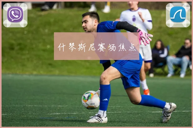 什琴斯尼赛场焦点