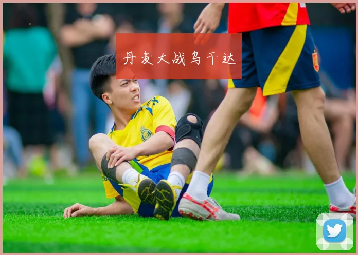 丹麦大战乌干达
