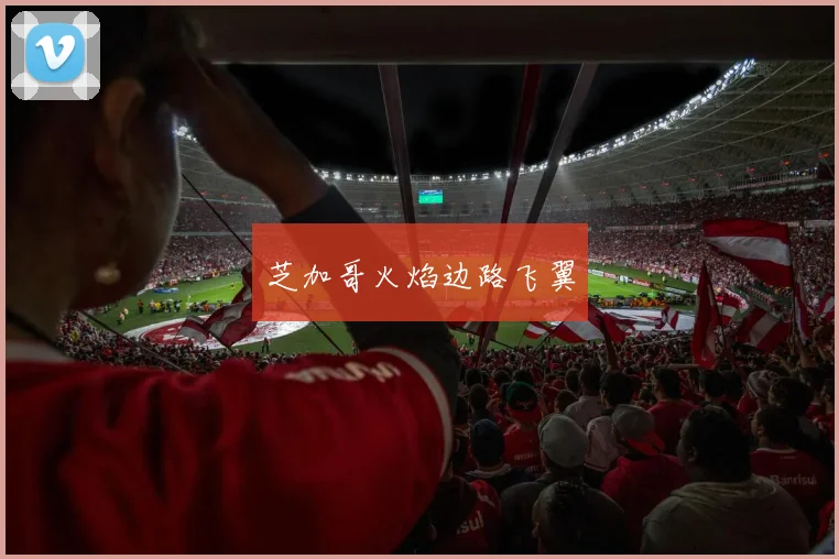 芝加哥火焰边路飞翼