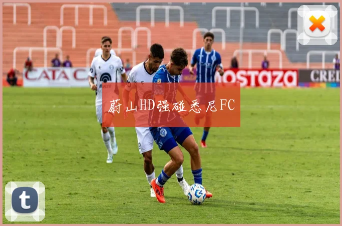蔚山HD强碰悉尼FC