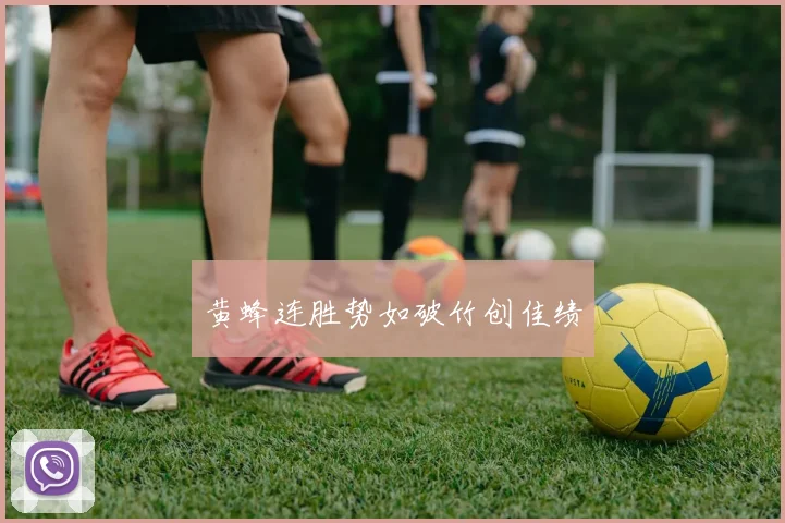 黄蜂连胜势如破竹创佳绩