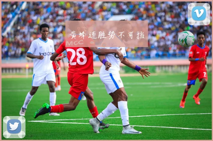 黄蜂连胜势不可挡
