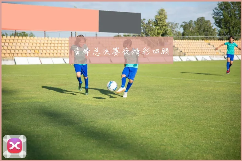 黄蜂总决赛夜精彩回顾