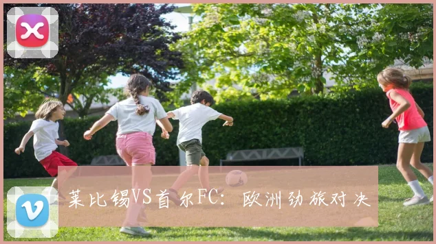 莱比锡VS首尔FC：欧洲劲旅对决