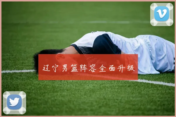 辽宁男篮阵容全面升级