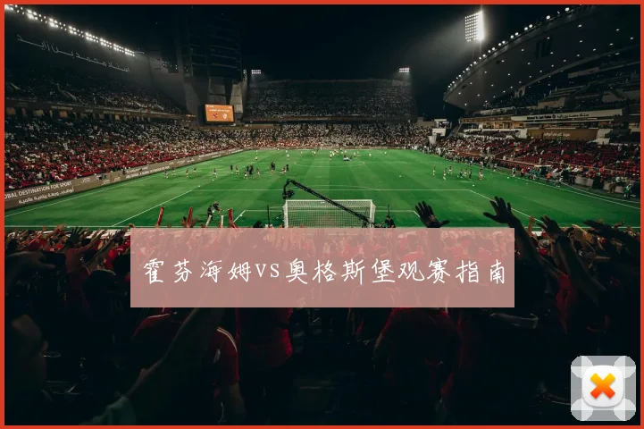 霍芬海姆vs奥格斯堡观赛指南