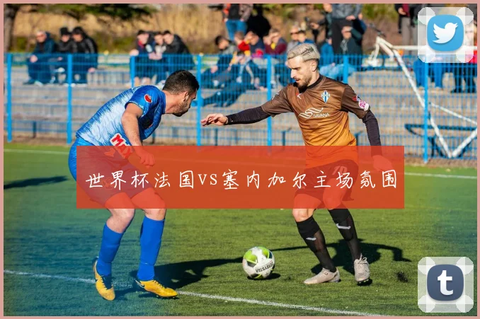 世界杯法国vs塞内加尔主场氛围