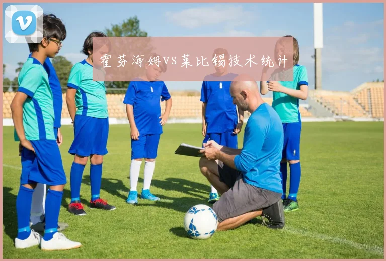 霍芬海姆vs莱比锡技术统计